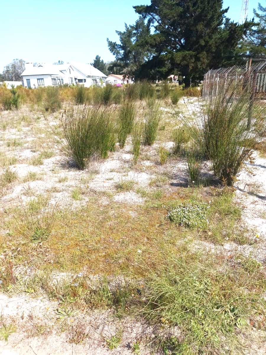 Commercial Property for Sale in Albertinia Western Cape